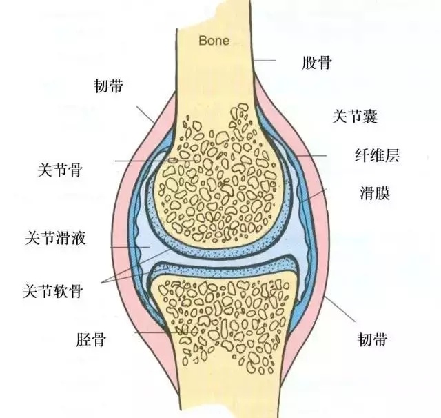 哪些病会引起膝关节炎？膝关节滑膜炎锻炼方法！