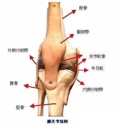 练习瑜伽缓解膝关节炎多图展示